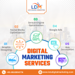 Digital Marketing Agency In Noida